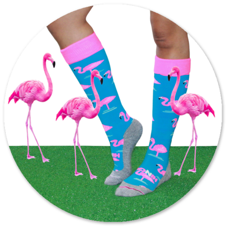 Funkousen Flamingo Blauw Hingly sokken
