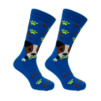 Sokken Tommy Hond Blauw